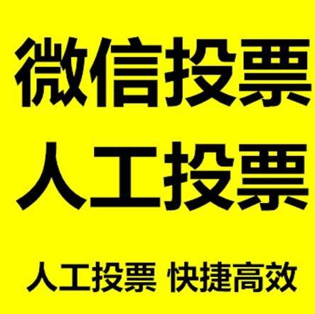 枣庄市投票活动拉票能被查出来吗？如何操作能不被发现？